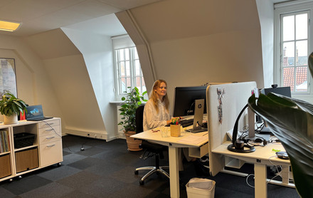 Ny studentermedhjælper