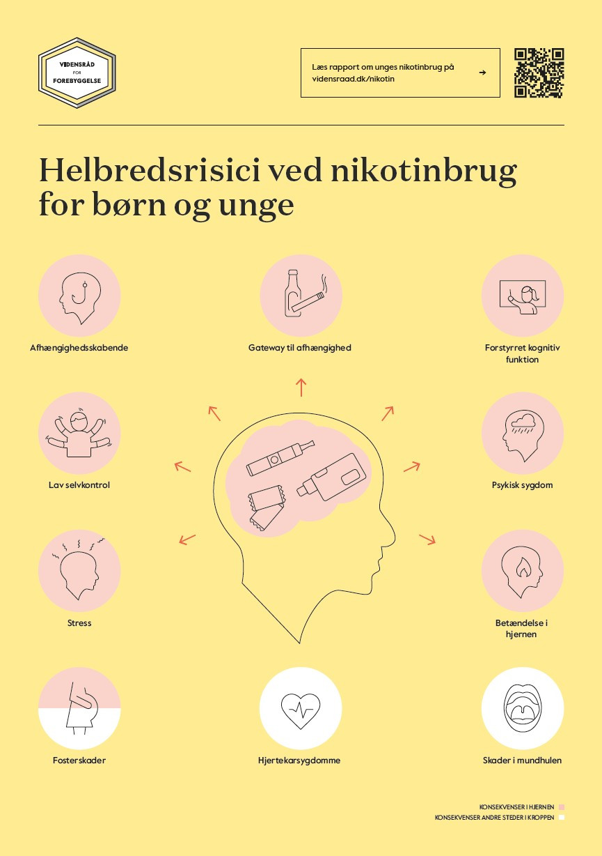 Helbredsrisici ved nikotinbrug for børn og unge
